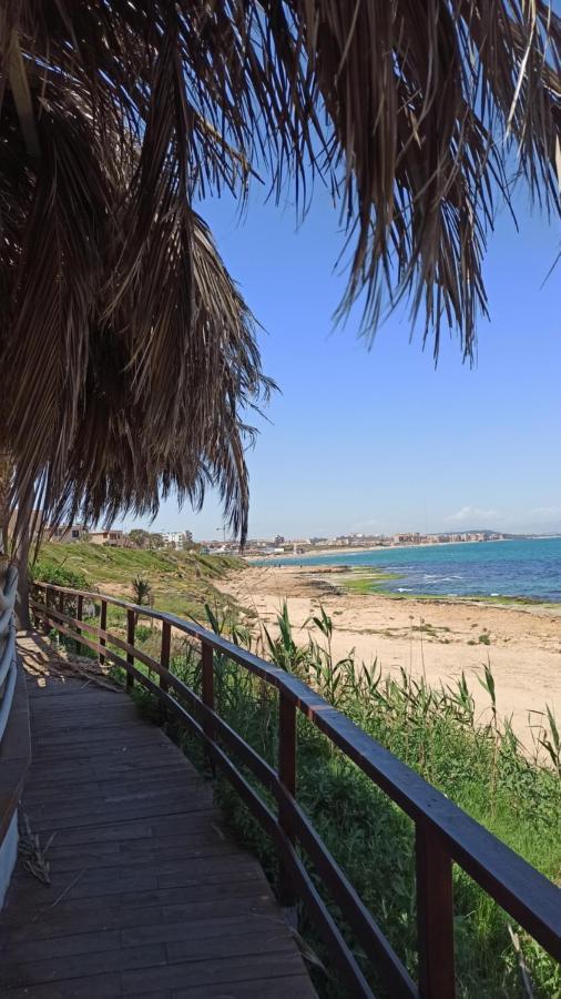 Apartment Only 250M From The Beach Los Locos Torrevieja Exterior foto