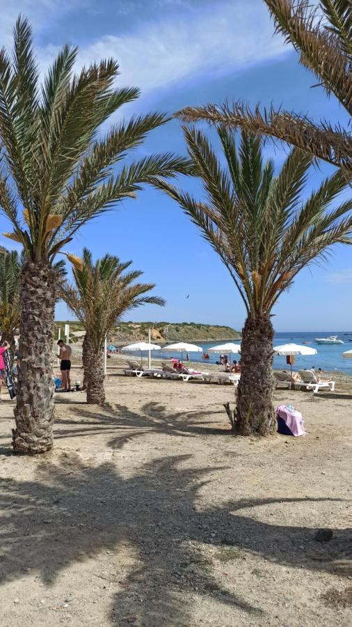 Apartment Only 250M From The Beach Los Locos Torrevieja Exterior foto
